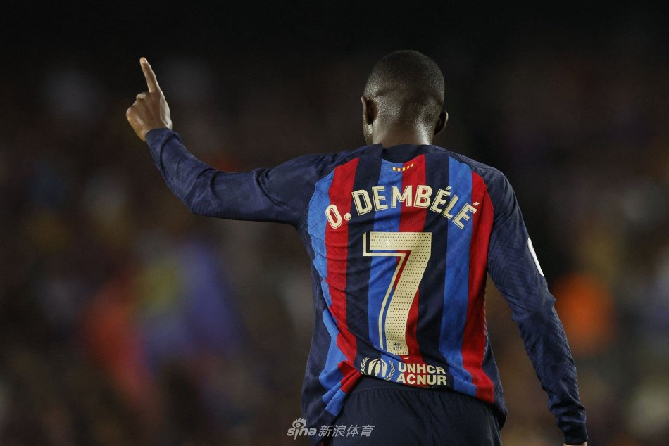 理解和准备 理解和准备